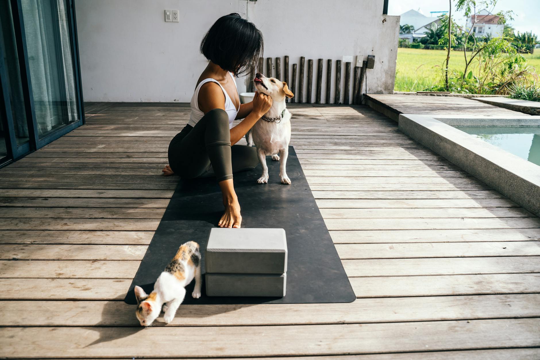 woman practising yoga on the terrace with her cat and dog